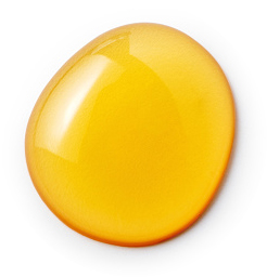 Erekcija